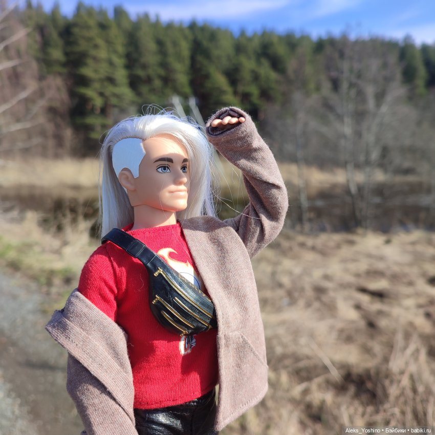 Поездка к диким птицам — Куклы Barbie (Барби): Looks