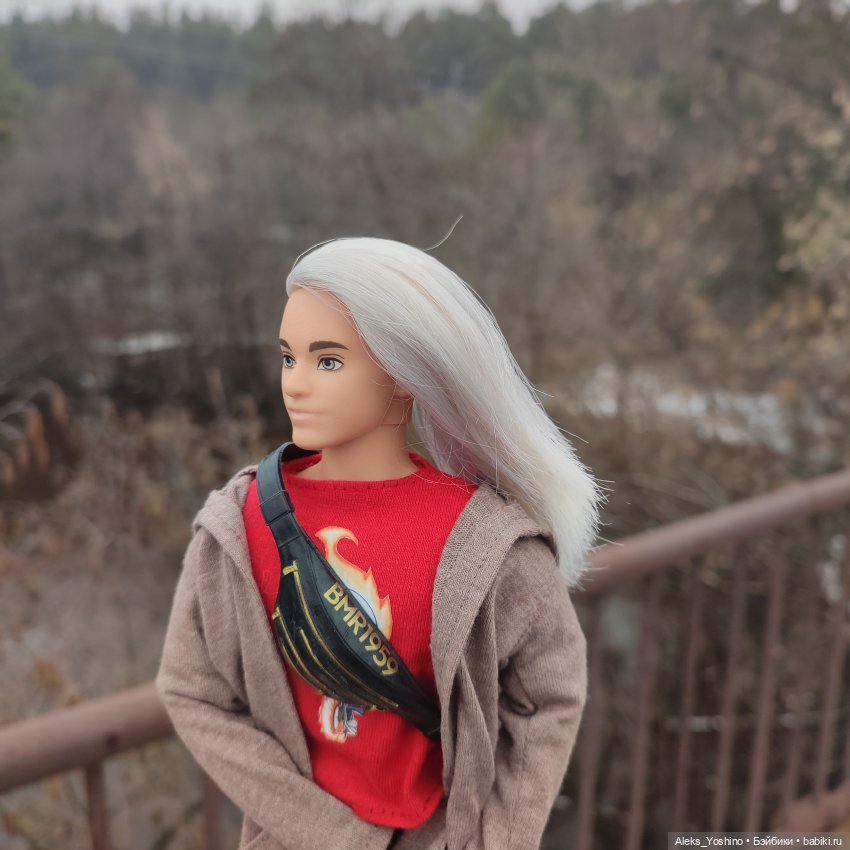 Поездка к диким птицам — Куклы Barbie (Барби): Looks (фото 2)