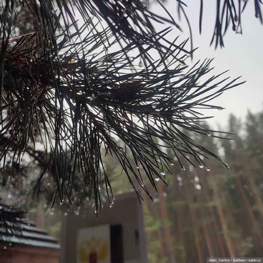 Поездка к диким птицам — Куклы Barbie (Барби): Looks (фото 6)