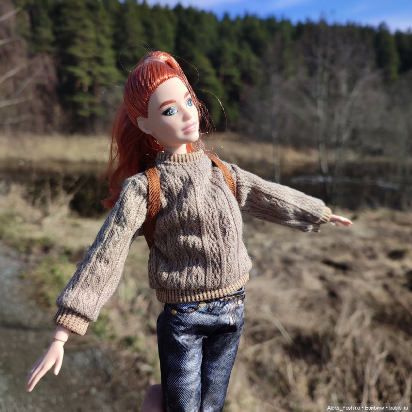 Поездка к диким птицам — Куклы Barbie (Барби): Looks