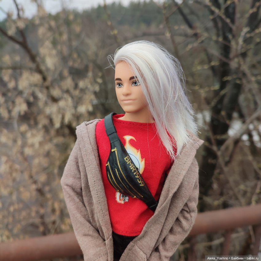 Поездка к диким птицам — Куклы Barbie (Барби): Looks (фото 3)