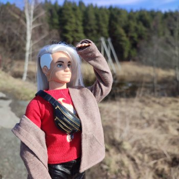 Поездка к диким птицам