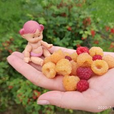 Банда Йогуртинис захватила дом