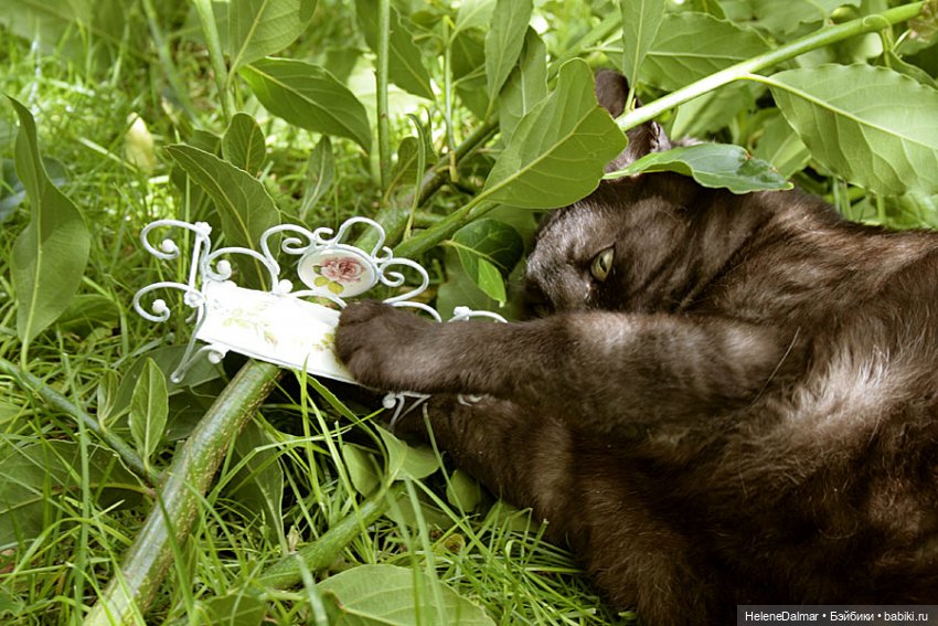 Паяние в миниатюре — Мебель для кукол и домиков: фото