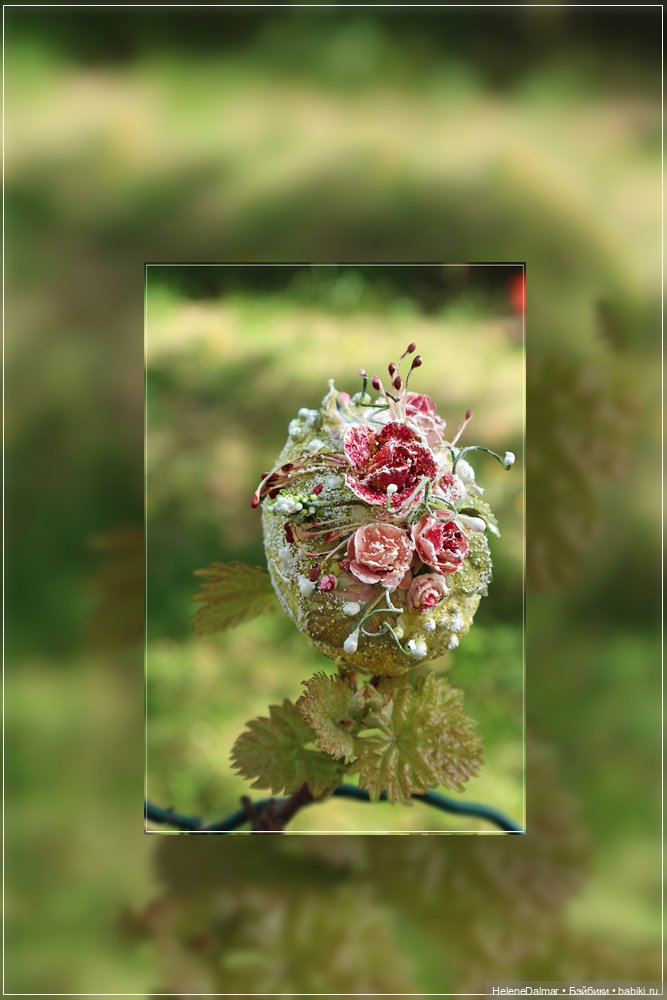 Как я высиживала яйца | Бэйбики Как я высиживала яйца — Другие хобби и увлечения: сад (фото 7)