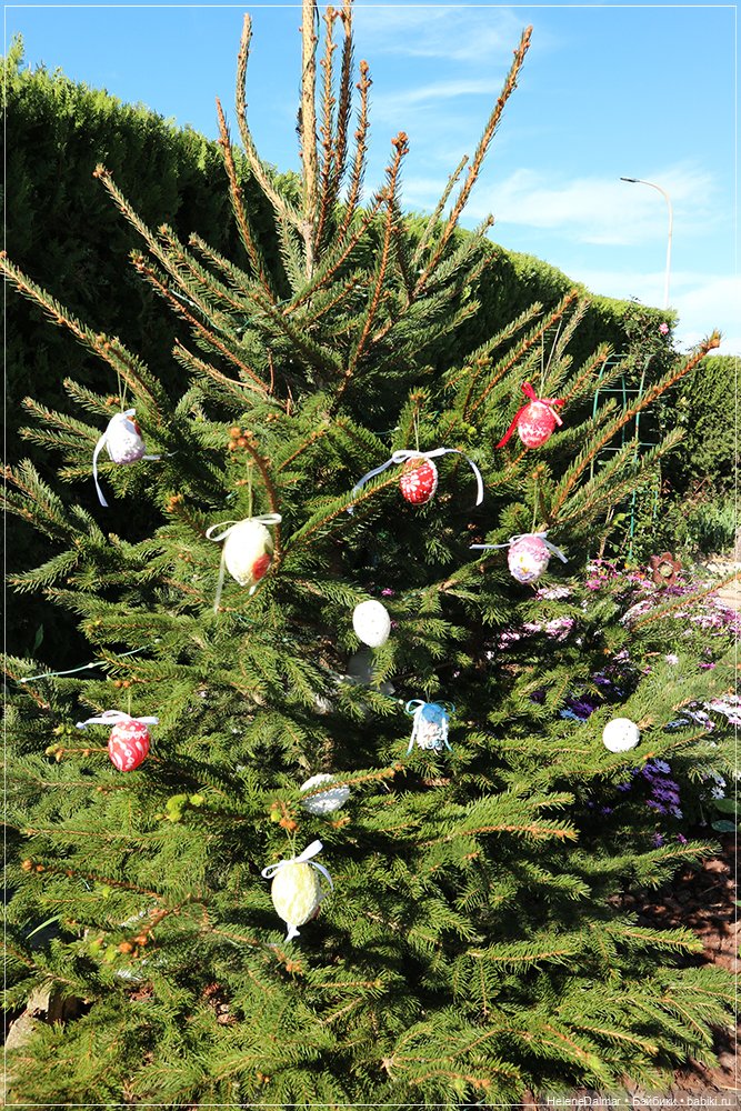 Как я высиживала яйца | Бэйбики Как я высиживала яйца — Другие хобби и увлечения: сад