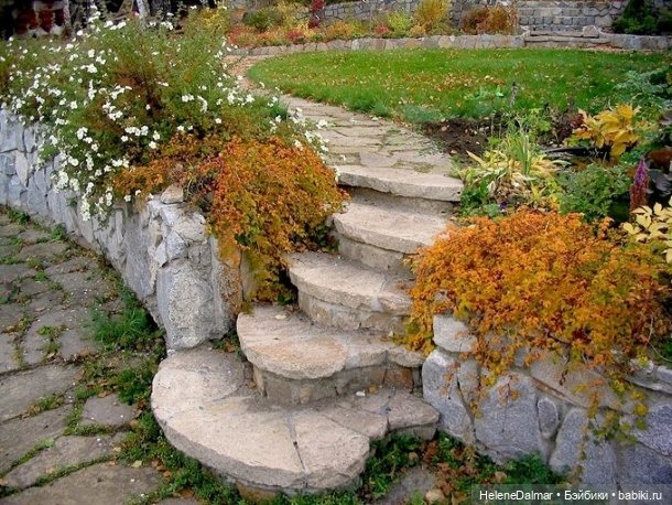 Лестница — Другие хобби и увлечения: сад