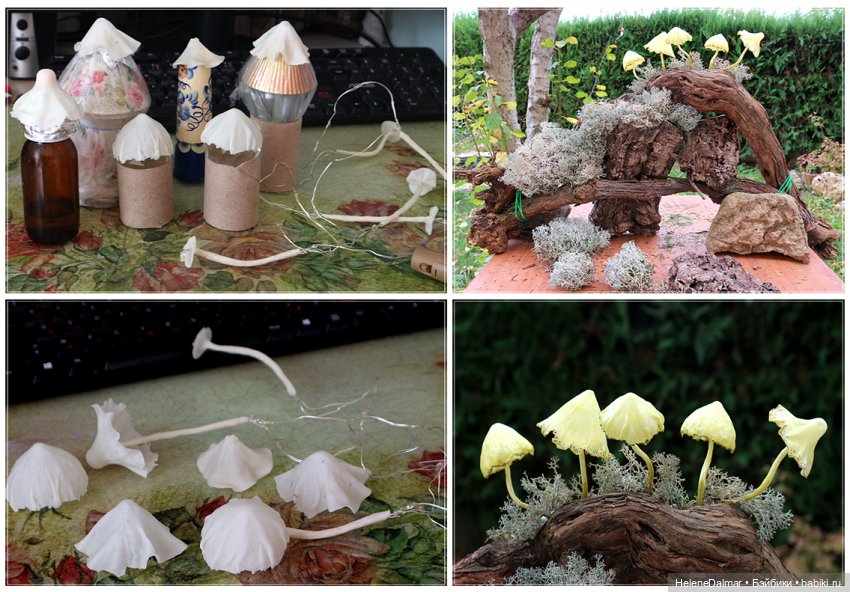 Светящиеся грибы — Другие хобби и увлечения: сад (фото 2)