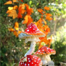 Продолжаем разговор