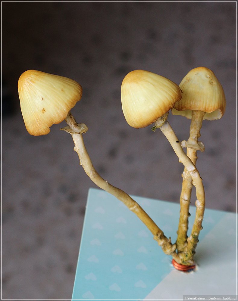 Как я делала светильник с грибами | Бэйбики Как я делала светильник с грибами (фото 9)