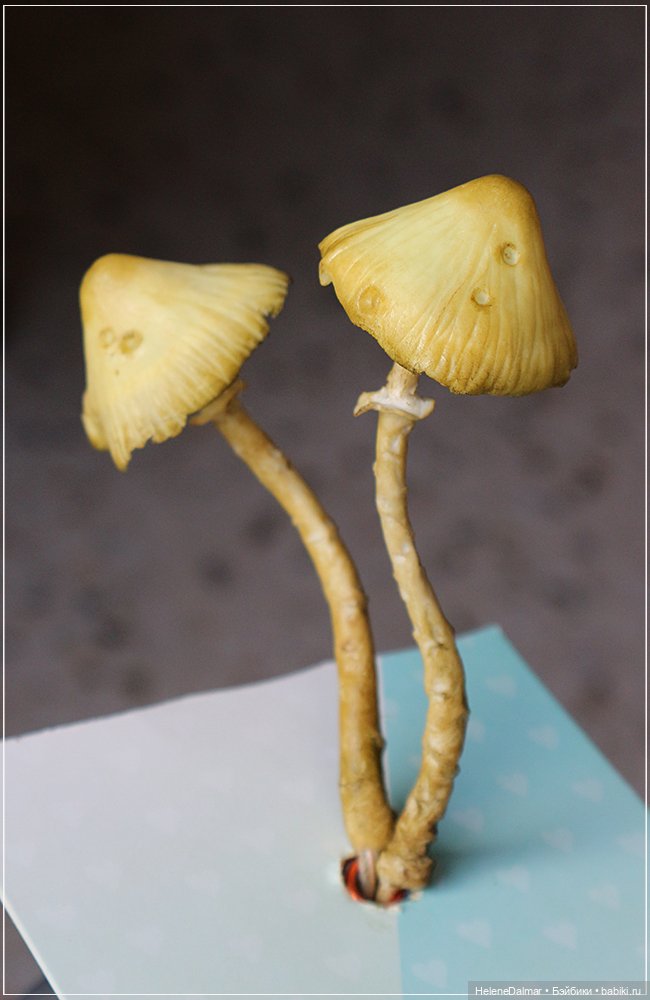 Как я делала светильник с грибами | Бэйбики Как я делала светильник с грибами (фото 8)