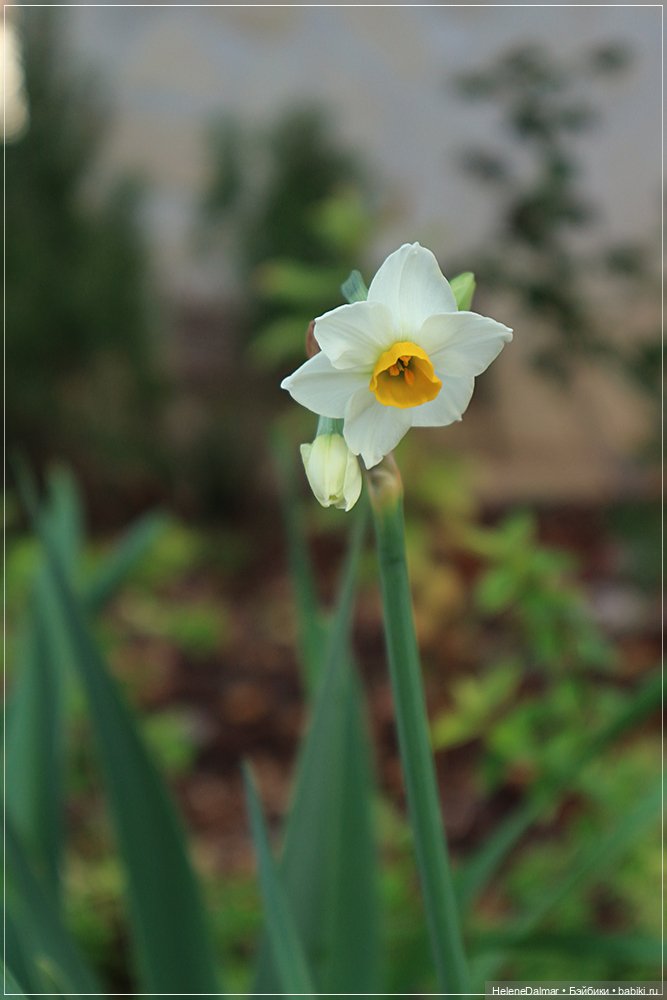 Зима для моих девочек — Одежда и обувь для кукол своими руками: фото (фото 2)