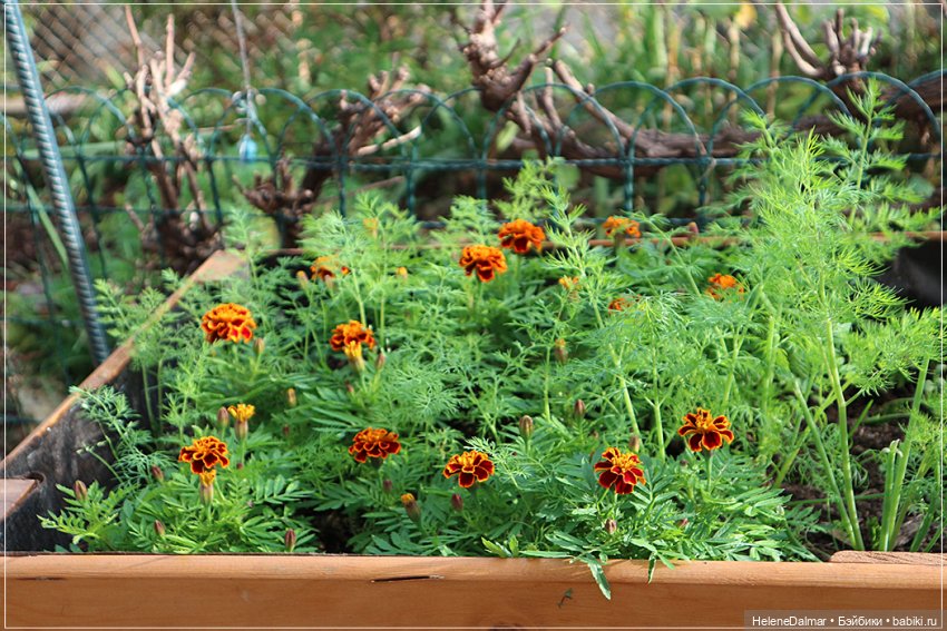 Зима для моих девочек — Одежда и обувь для кукол своими руками: фото (фото 3)