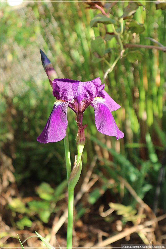 Зима для моих девочек — Одежда и обувь для кукол своими руками: фото