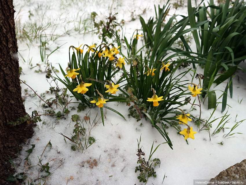 Зимние забавы | Бэйбики Зимние забавы — Одежда и обувь для кукол своими руками: фото