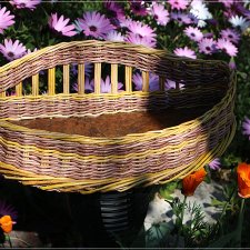 Новые плетёнки