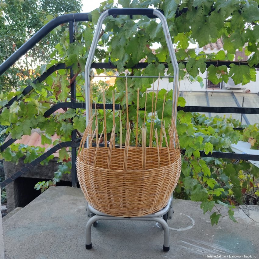 Новые плетёночки — Другие хобби и увлечения: сад (фото 4)