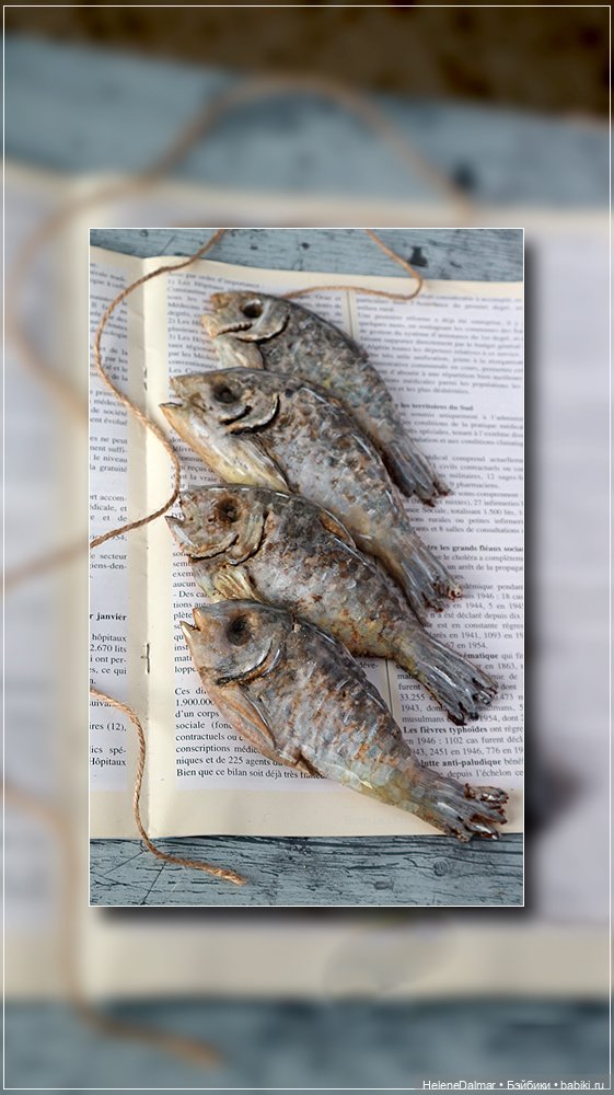 Пряники — Другие хобби и увлечения: сад (фото 3)