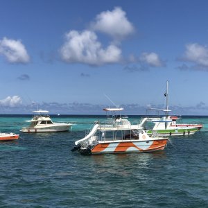 Если очень захотеть можно в космос полететь