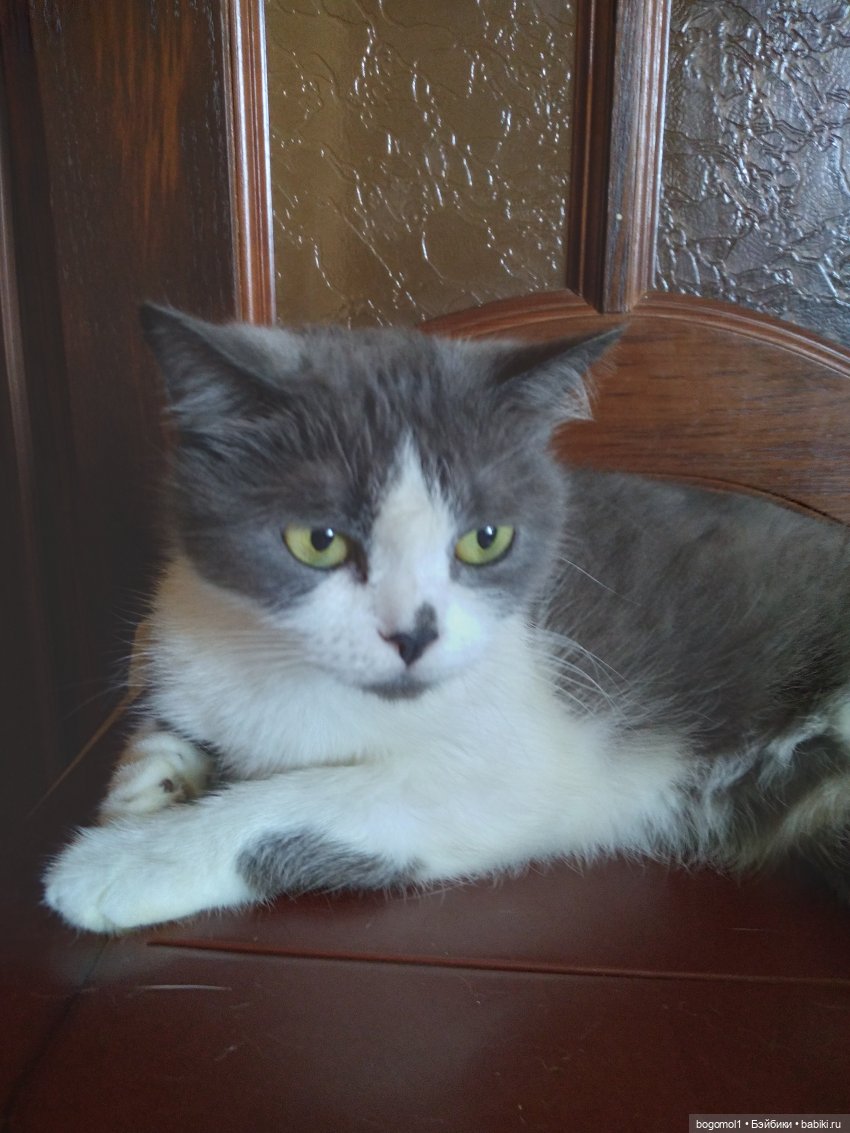 Вот она, пока нашла ее