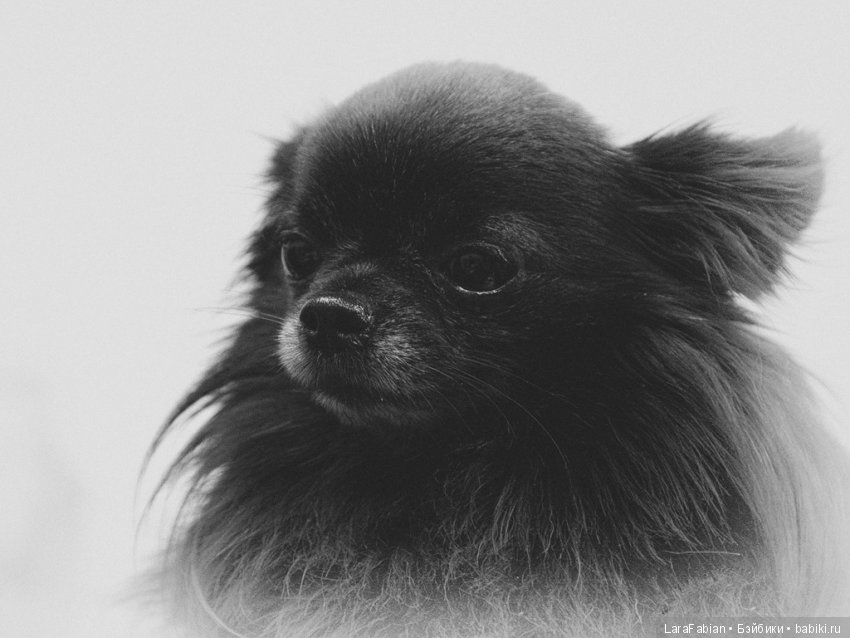 вот наше чудо)