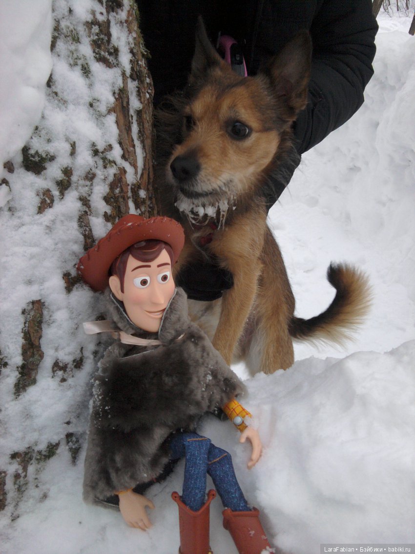 Зимняя прогулка в яблоневом саду с любимыми куклами (фото 7)