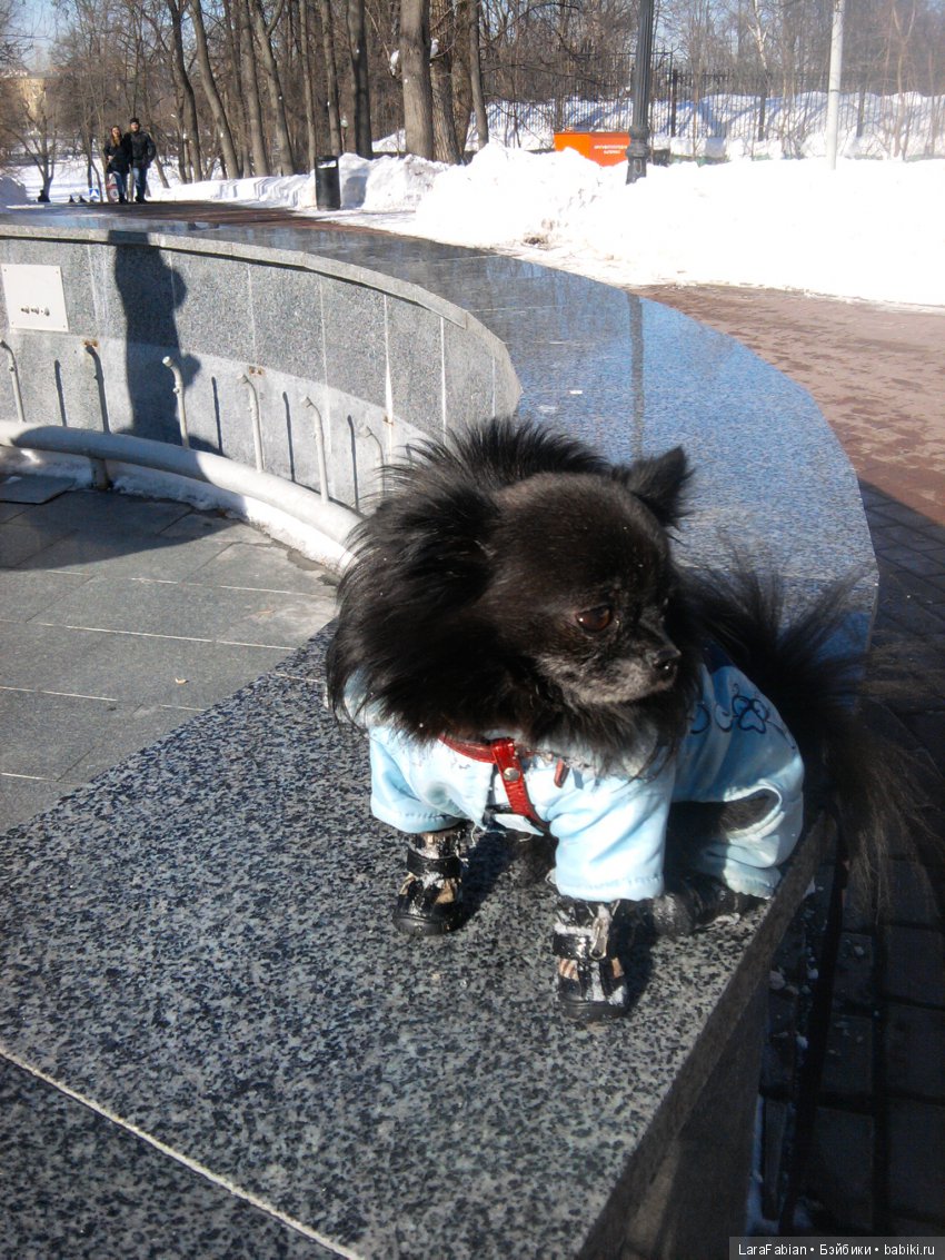 8 Марта в Нескучном саду — Куклы Barbie (Барби): Looks (фото 4)