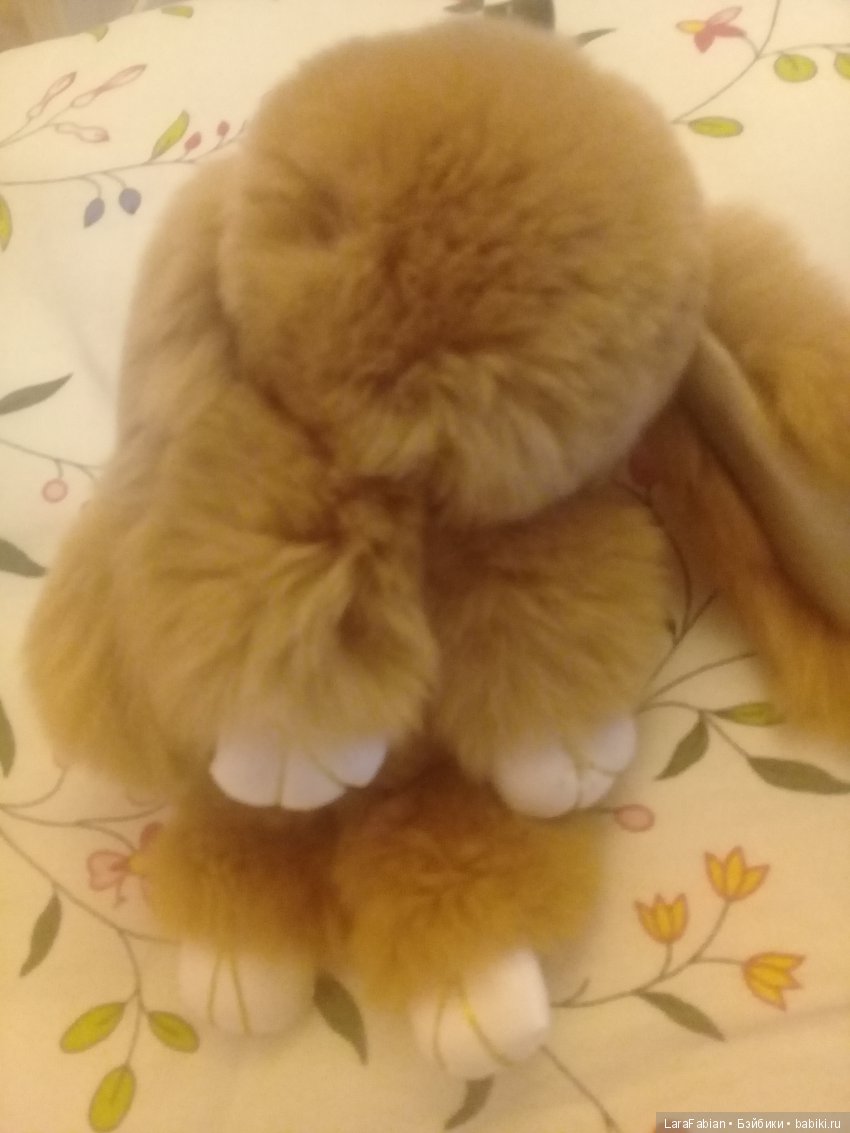 Зайчонок-листопадничек из Воронцовского парка (фото 2)