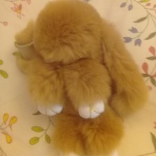 Зайчонок-листопадничек из Воронцовского парка