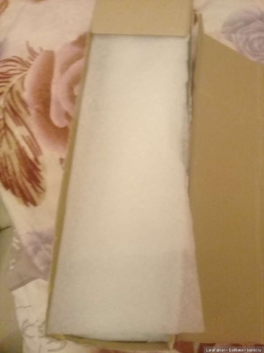 Аделина приехала домой или моя первая БЖД (фото 2)