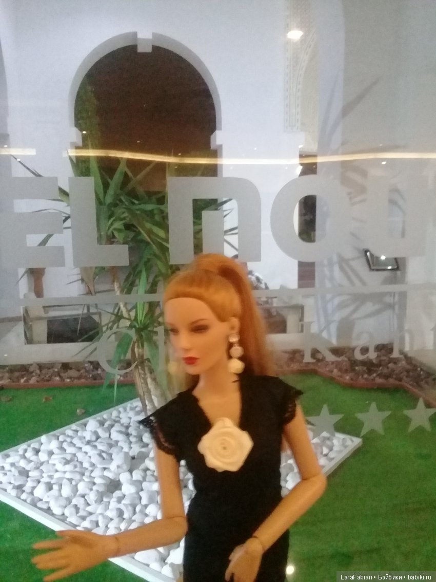 Путешествие дев или точнее див Тоннер в Тунис (фото 9)