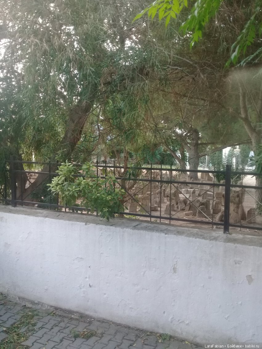 Карфаген и Медина - продолжаем открывать Тунис (фото 4)