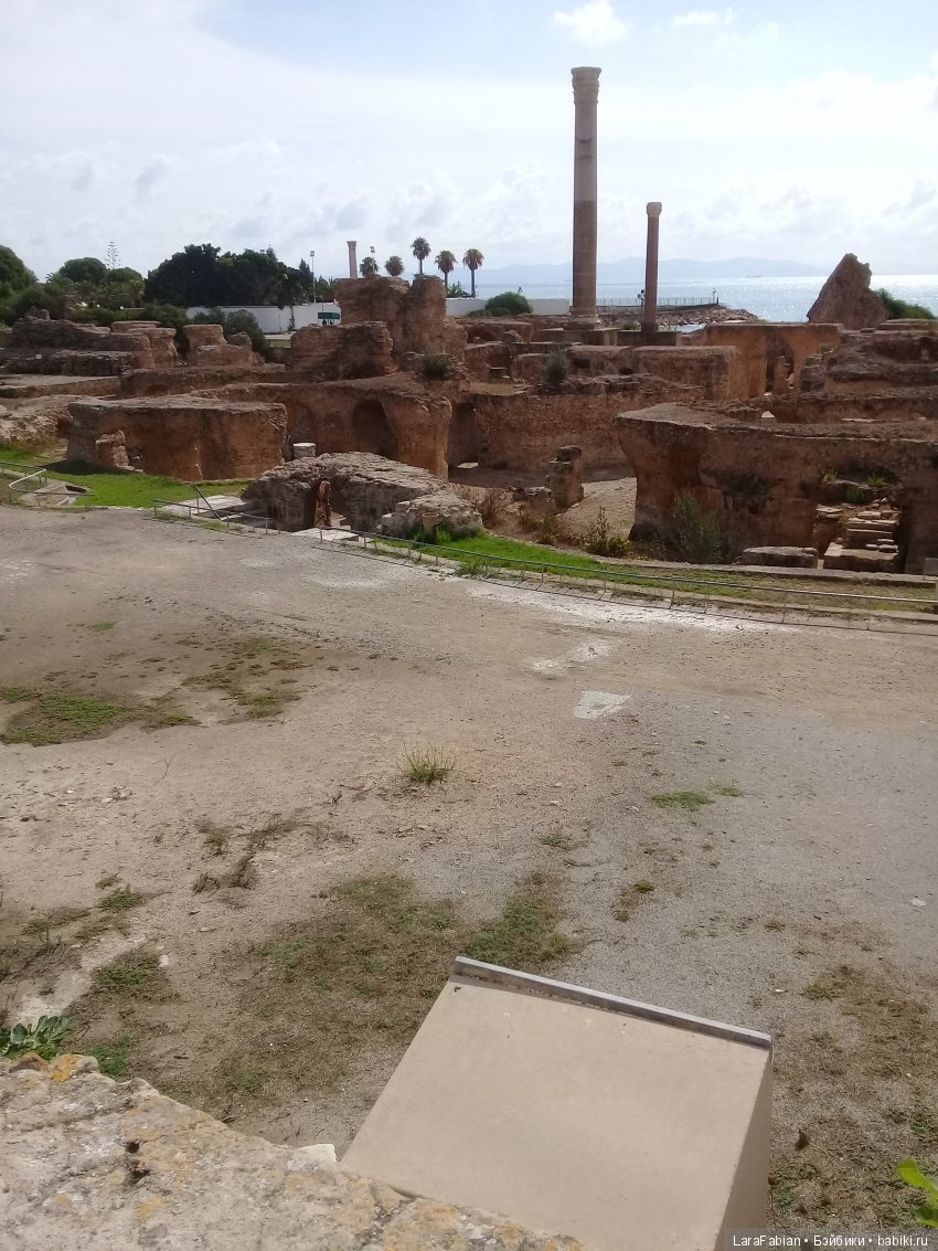 Карфаген и Медина - продолжаем открывать Тунис (фото 3)