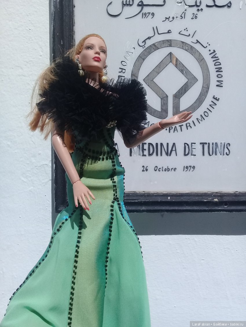 Карфаген и Медина - продолжаем открывать Тунис (фото 6)