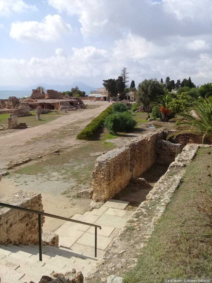 Карфаген и Медина - продолжаем открывать Тунис