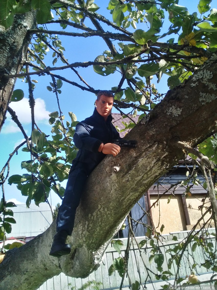 Как воины урожай собирали