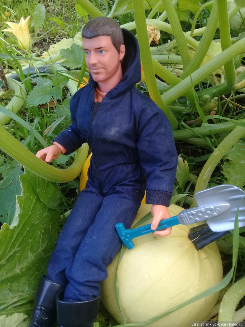 Как воины урожай собирали (фото 2)