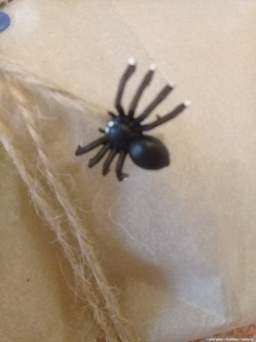 Жил на свете паук Иннокентий (фото 6)