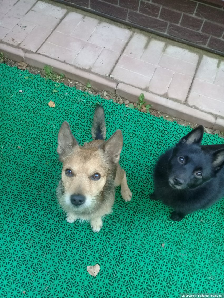 В осеннем саду — Фэшн (фото 9)