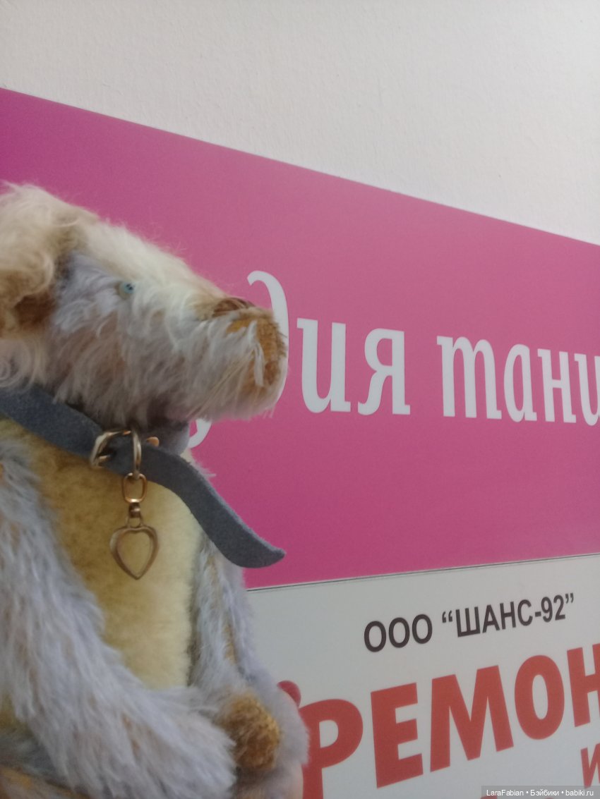 Как Малыш ездил в студию танцев (фото 2)