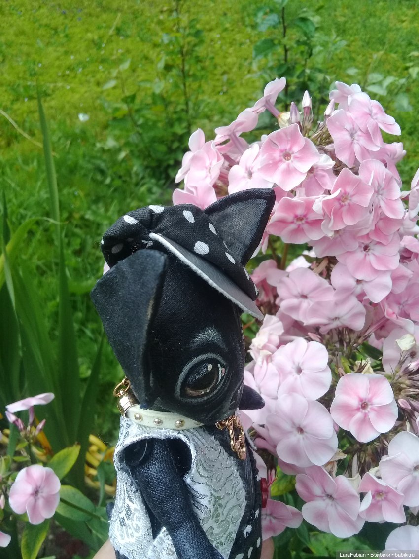 Возвращение Панкрата Черного домой (фото 2)