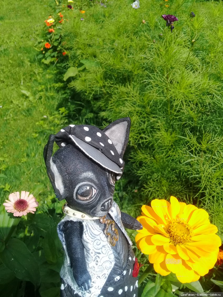 Возвращение Панкрата Черного домой (фото 3)