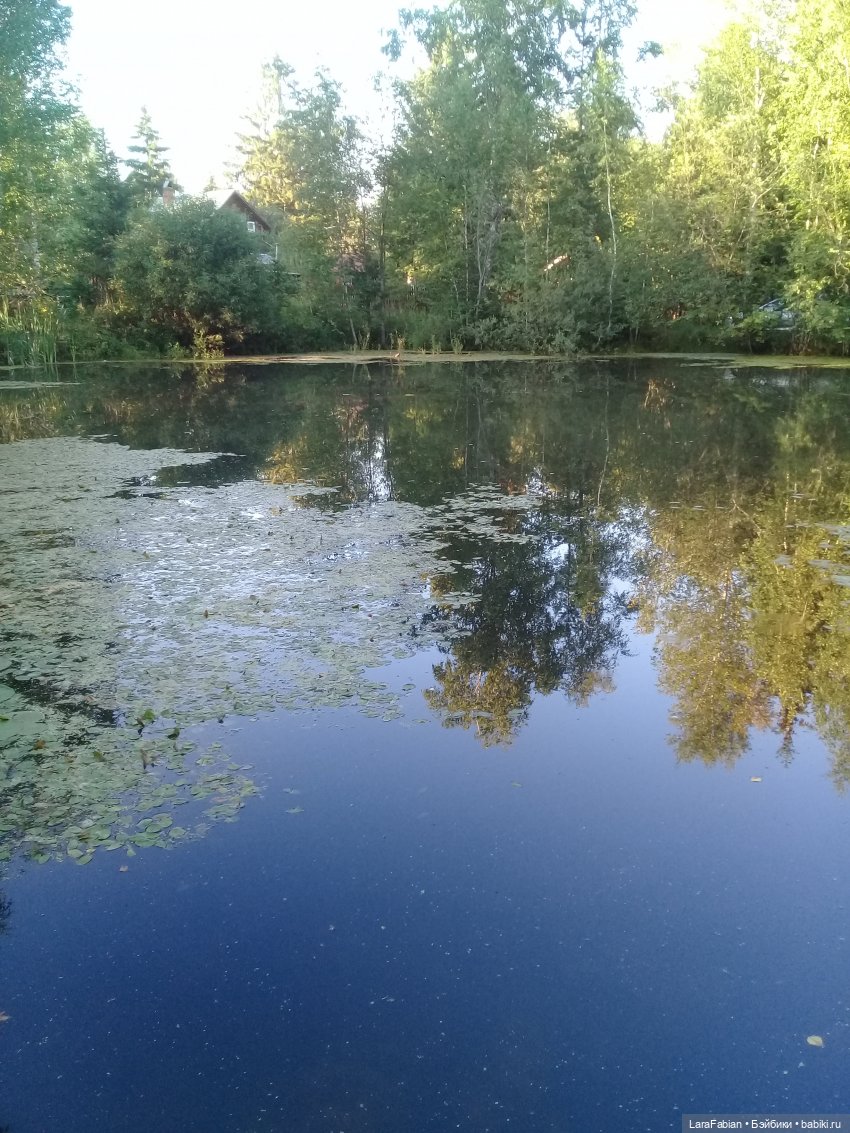 Посвящение Сергею Есенину. Рания и Сондра читают стихи (фото 3)