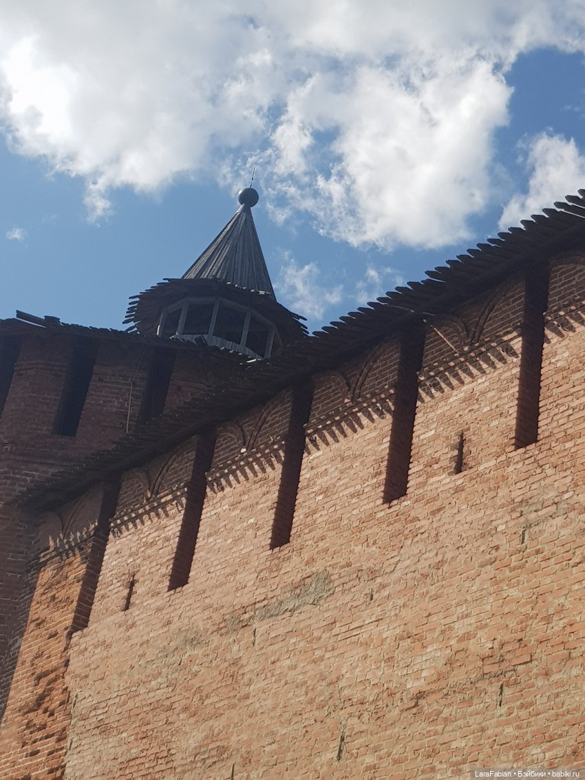 Как Рания в Коломну ездила (фото 8)