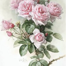 Куклы, дети и розы на винтажных открытках