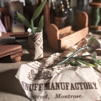 Рабочий стол колдуна ботаника