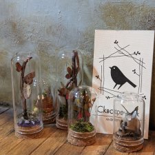 Ботанический клош