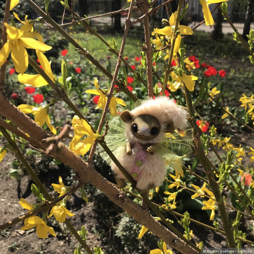 С праздником весны и труда (фото 4)