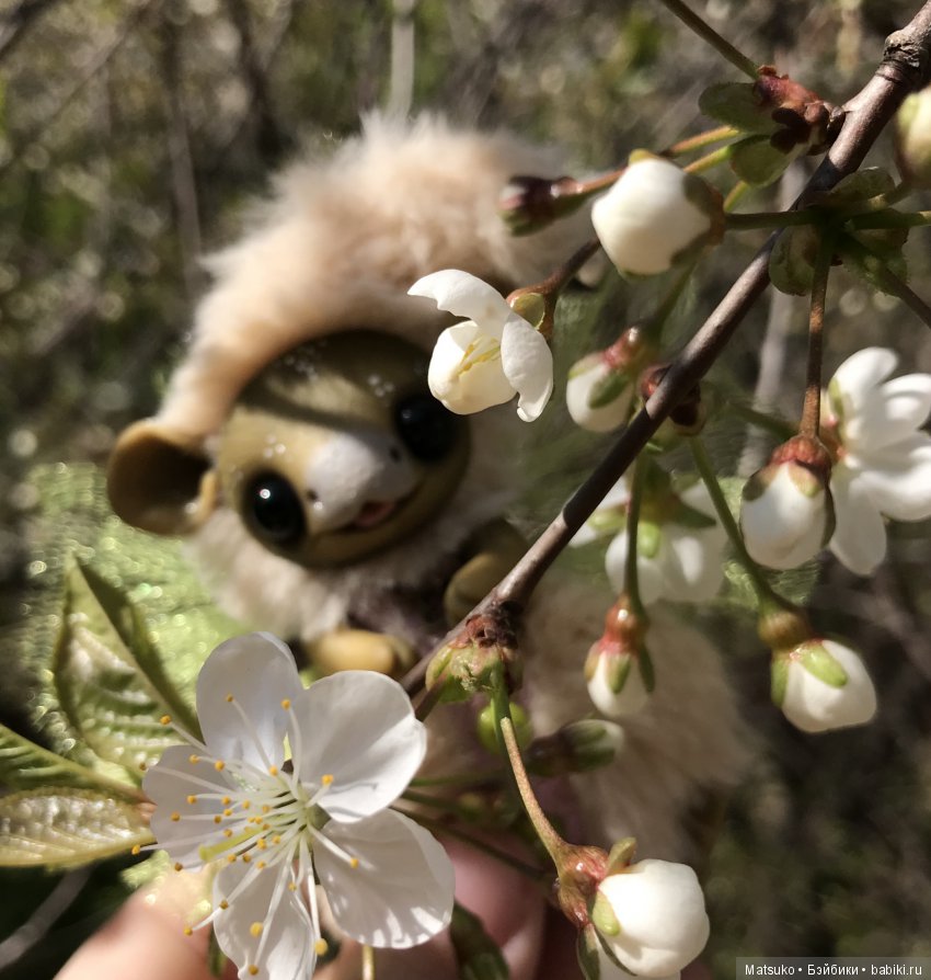 С праздником весны и труда (фото 5)