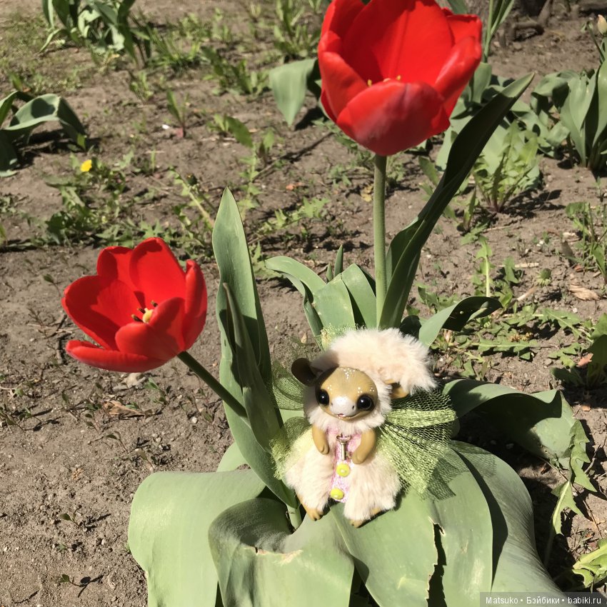 С праздником весны и труда (фото 3)